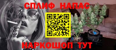 spice Апшеронск