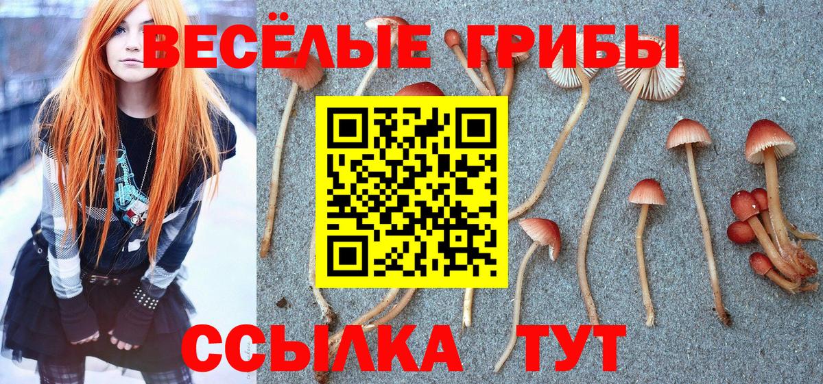 Псилоцибиновые грибы MAGIC MUSHROOMS  Вход с VPN  Галлюциногенные грибы Cubensis  Богородск 
